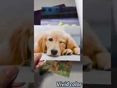 رول کاغذ عکاسی پرمیوم Luster برای چاپگرهای Epson / Canon / HP