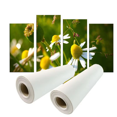 چاپ رنگدانه ای 280gm Polyester Canvas Roll